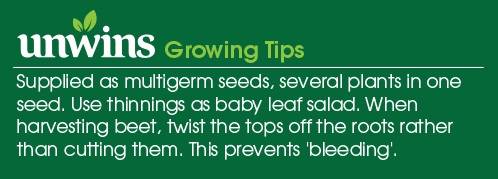Beetroot Gourmet Mix Seeds Unwins Growing Tips